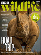 BBC Wildlife Magazine - Zimbabwe: Rhino Road Trip - February 2023
