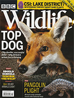 BBC Wildlife magazine - Zimbabwe: Pangolins in Peril - February 2020