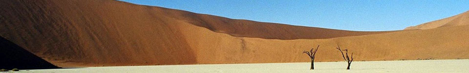 Deadvlei Desert, Namibia